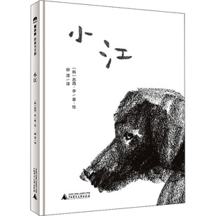 柳漾 少儿动漫书 社 图画书 绘本 译 著 苏西·李 韩 广西师范大学出版 小江