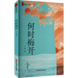 何时梅开 中国文史出版社 王英 著 现代/当代文学