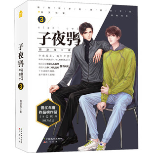 子夜鸮 3 中国致公出版社 颜凉雨 著