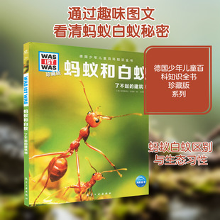 蚂蚁和白蚁 航空工业出版社 (德)雅丽珊德拉·里国斯 著 张依妮 译 科普百科