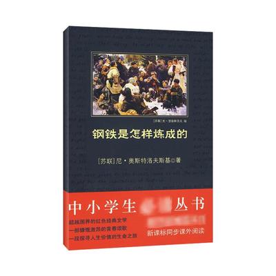 钢铁是怎样炼成的 陕西师范大学出版社 (苏联)尼·奥斯特洛夫斯基 著 刘军 译 世界名著