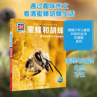 蜜蜂和胡蜂 航空工业出版社 (德)雅丽珊德拉·里国斯 著 张依妮 译 科普百科