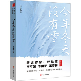 今年冬天没有雪 中国文史出版社 王宝存 著 著名作家、评论家贾平凹、李国平、王春林联袂推荐 现代/当代文学