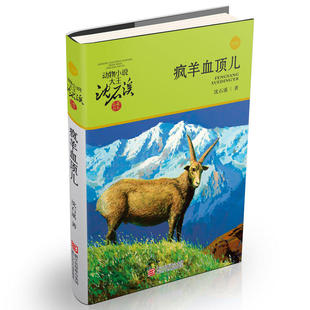 动物小说大王沈石溪·品藏书系疯羊血顶儿沈石溪动物文学力作以野生盘羊命运探讨生存法则与牺牲精神青少年感受自然野性成长小说K