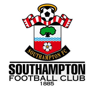 南安普敦队英超足球迷反光电动车摩托车汽车贴纸车门身贴后玻璃贴