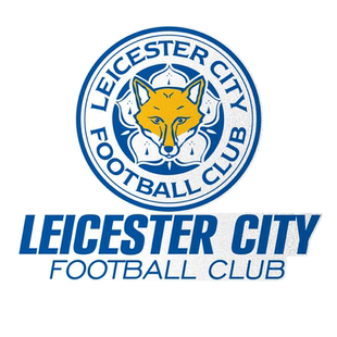 莱斯特城队瓦尔迪英超足球迷反光电动摩托车汽车贴纸车身后玻璃贴