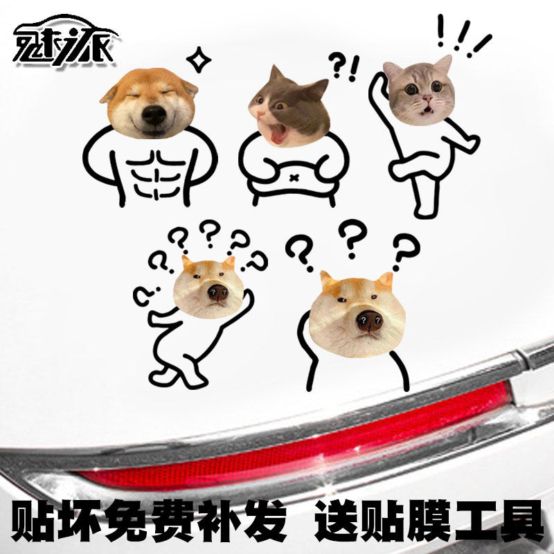 惊讶猫咪新款腹肌狗狗恶搞反光电动摩托车汽车贴纸车身贴后玻璃贴