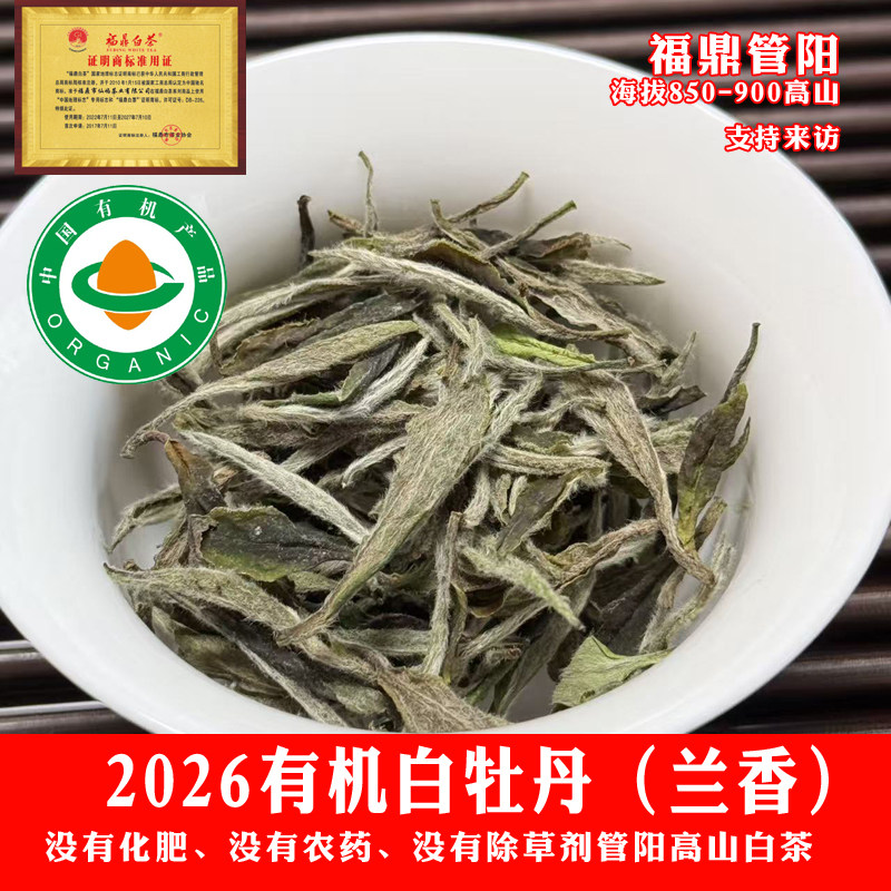 有机白茶2026福鼎白茶高山茶叶白牡丹散茶兰花香韵50克