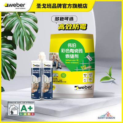 WEBER/伟伯瓷砖嵌缝剂