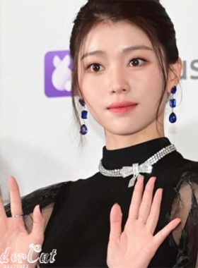 满钻大蝴蝶结项链choker水钻链