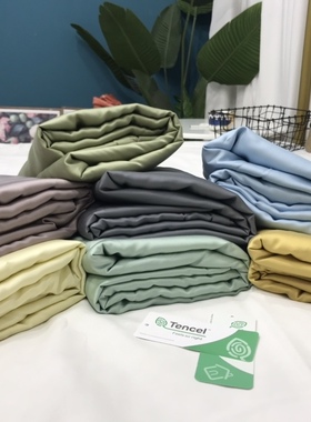 白色莫奈出口原单60支奥地利兰精天丝双人被套200x230cm纯色