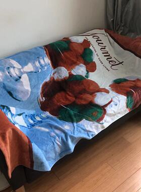 外贸清仓纯棉蓬松割绒浴巾家用成人男女沙发巾不掉毛插画100X180c