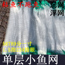 小网眼半指单层渔网浮网一指丝网单层粘网沉网白条马口麦穗网