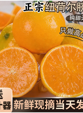 秭归脐橙带箱5斤单果80-90mm送礼彩箱送榨汁器