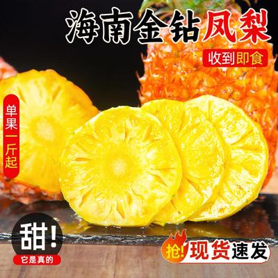 海南金钻凤梨新鲜水果应季10斤芒果凤梨特产手撕香水菠萝无眼大果