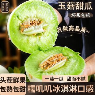 送瓜勺 冰淇淋玉菇甜瓜新鲜水果当季整箱小香瓜蜜瓜羊角甜瓜白瓜