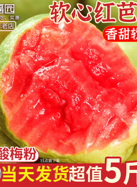 广西红心芭乐软糯番石榴5斤新鲜水果当季整箱低糖脆甜水果包邮送