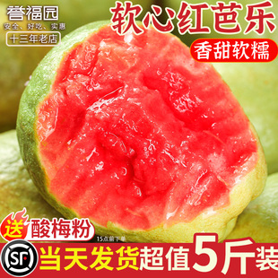 送 包邮 广西红心芭乐软糯番石榴5斤新鲜水果当季 整箱低糖脆甜水果