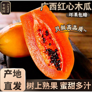 红心牛奶木瓜现搶新鲜水果广西当季9斤整箱青皮孕妇冰糖心自然熟
