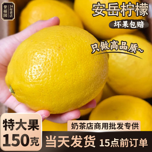 四川安岳黄柠檬新鲜水果皮薄当季整箱精选香水甜青柠檬小金桔特产