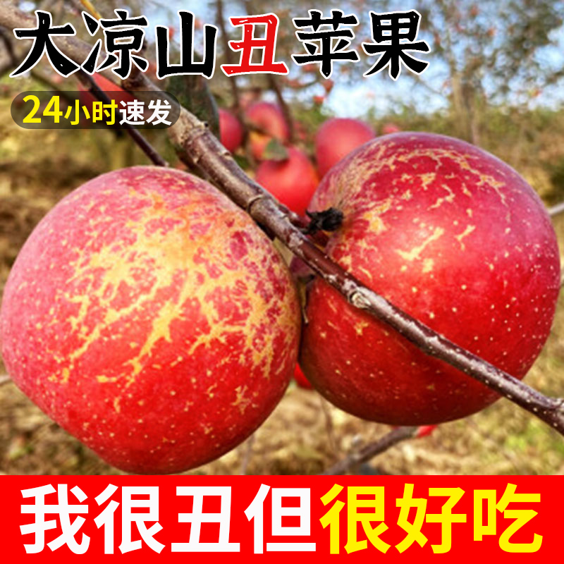 大凉山丑苹果冰糖心正宗9斤水果新鲜整箱当季盐源甜红富士野苹果