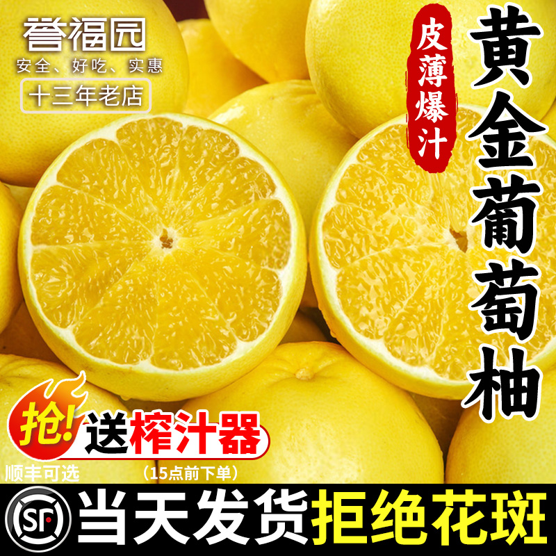 爆汁柚子福建黄金葡萄柚新鲜水果当季黄心蜜柚文甜西柚整箱旦包邮