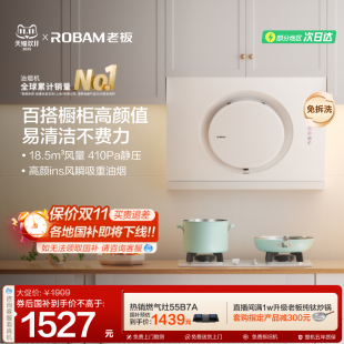 老板21A6H白色抽油烟机小型家用厨房用大吸力侧吸排脱吸油免拆洗