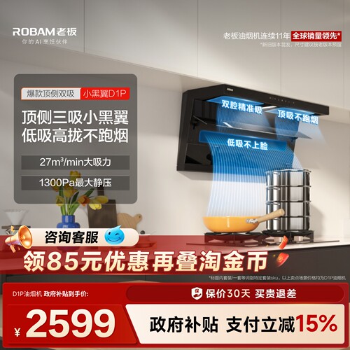 热销爆款！老板小黑翼D1P大吸力