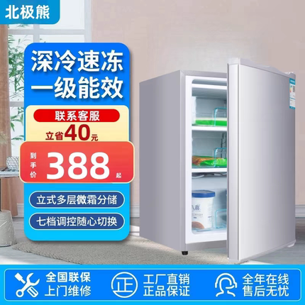 雪糕小冰柜家用小型全冷冻抽屉式母乳储奶立式侧开门冷冻冰箱