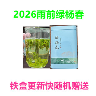2026年早春绿杨春茶叶仪征捺山绿茶新茶扬州礼盒绿阳扬春