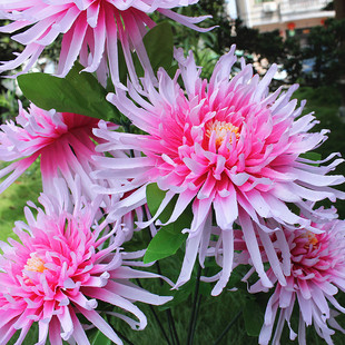 厂家直销60CM7头菊花大把束公墓装 饰花清明节上坟用花陵园墓地花