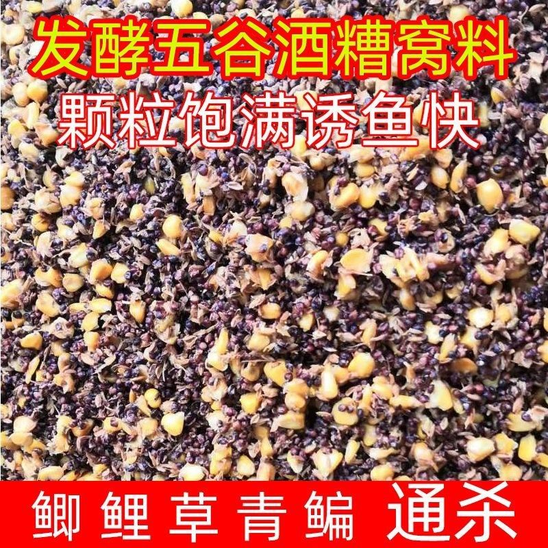五谷玉米酒糟批发野钓打窝利器喂猪牛羊食料打窝料鲤鱼草鱼钓鱼