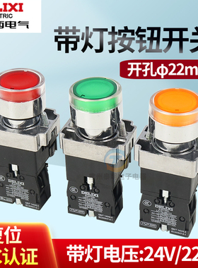 德力西按钮开关LAY5-BW3金属型带灯平按钮AC220V一常开一常闭红色