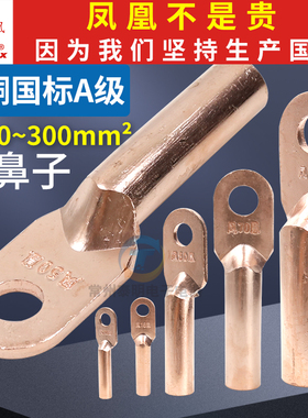 凤凰国标铜鼻子DT接线端子25堵油式10接头电线电缆紫铜单孔16平方