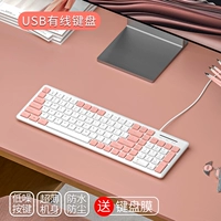 BAI FAN [Wish Wire Wired Keyboard] Plums в двух районах