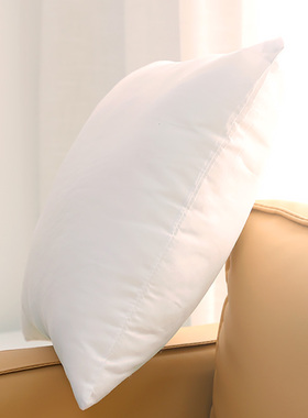 抱枕芯 白色靠垫芯靠枕芯正方形 腰枕芯长方形 PP棉填充 45 50 60