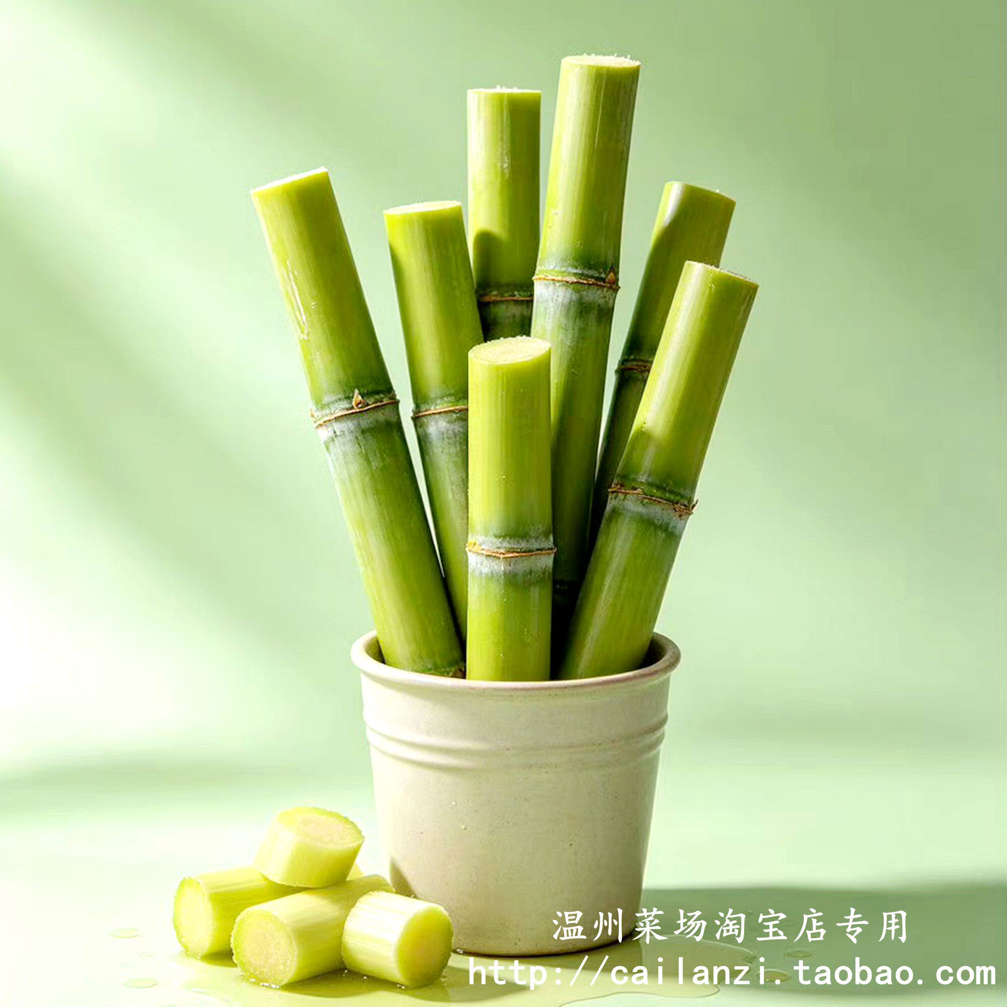 温州发货新鲜陶山甘蔗 青皮甘蔗绿皮果蔗 洗净泡沫盒冰袋顺丰包邮