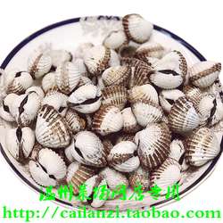 温州味道 本地花蛤 血蛤 中等个头 全程保鲜快递 500g 来自乐清湾