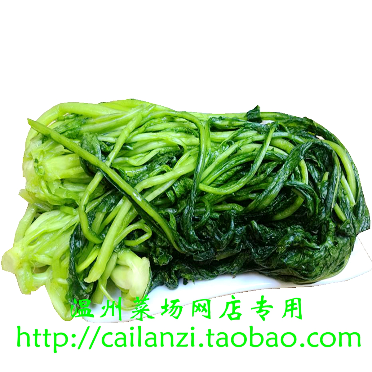 温州味道 烫菜咸 雪里蕻雪菜 九头芥 绿雪菜 真空包装 500g