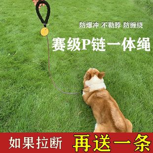 小狗牵引绳狗链子小型犬外出遛狗绳中大型狗一体式 p绳专业训犬P链