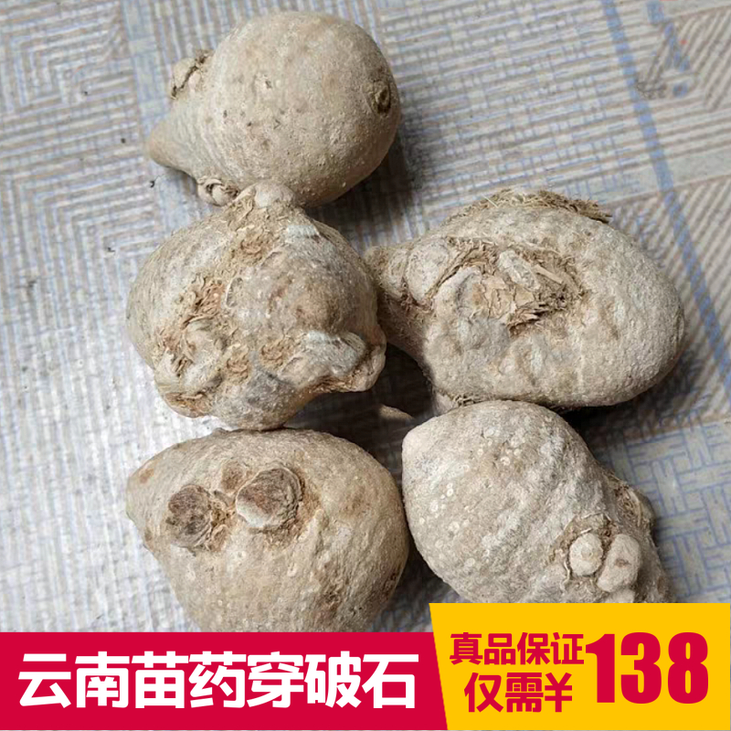 穿破石：云南苗药腾冲特产 苗家野生中草药中药中药材500克