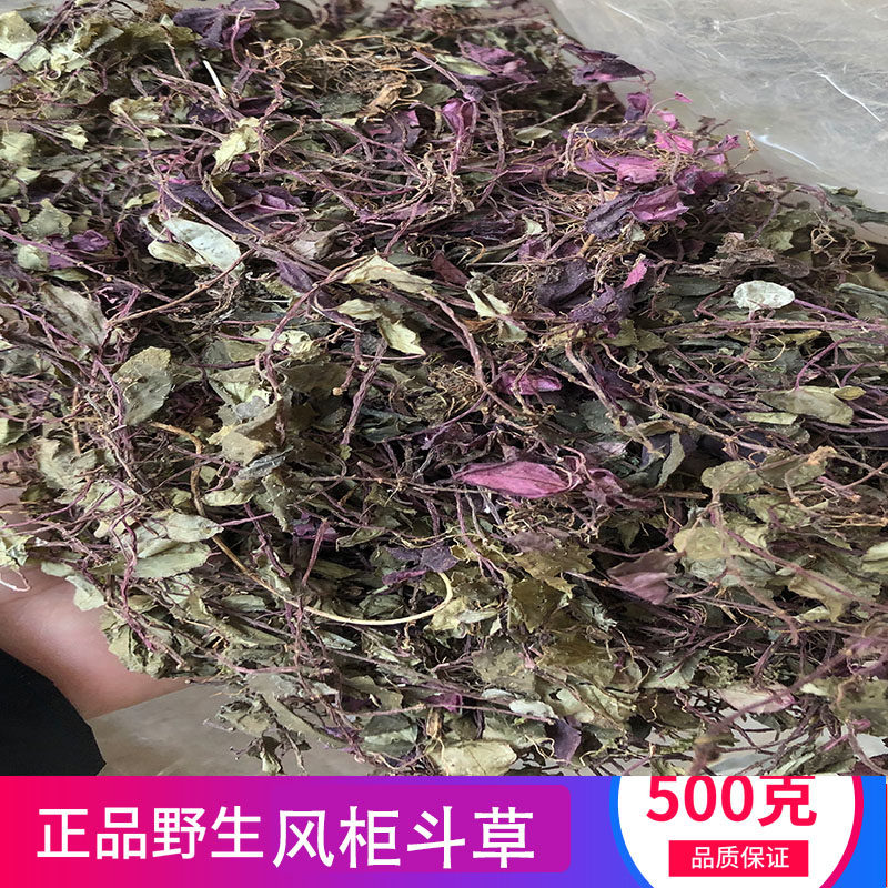 2021年正宗福建野生风柜斗草干品药材风鼓草风谷草特级楮头红250g