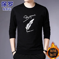 901-серебристое перо плюс бархатная модель