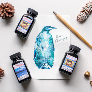 纵向书写 美国鲶鱼墨水Noodler's Ink钢笔用碳素彩色墨水90ML