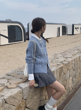 DRIZZLE 软糯蓝色毛衣开衫女秋冬2025新款刺绣绞花圆领针织厚外套