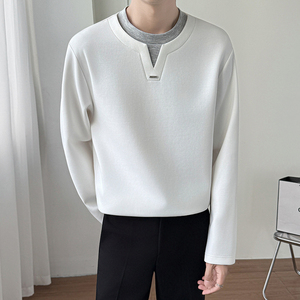 模特图~秋季假两件重磅果冻棉长袖卫衣 W6601/P58图片