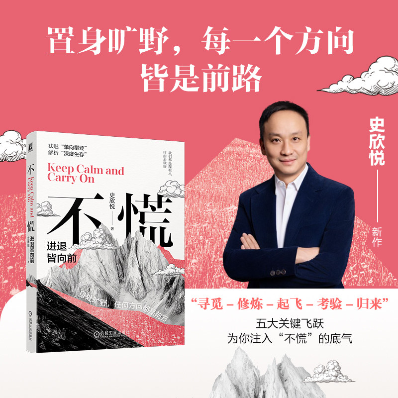 不慌：进退皆向前   史欣悦   迷茫 成长  缓解焦虑 迷茫 个人成长 情绪 成功励志自我调节自我完善书籍图片