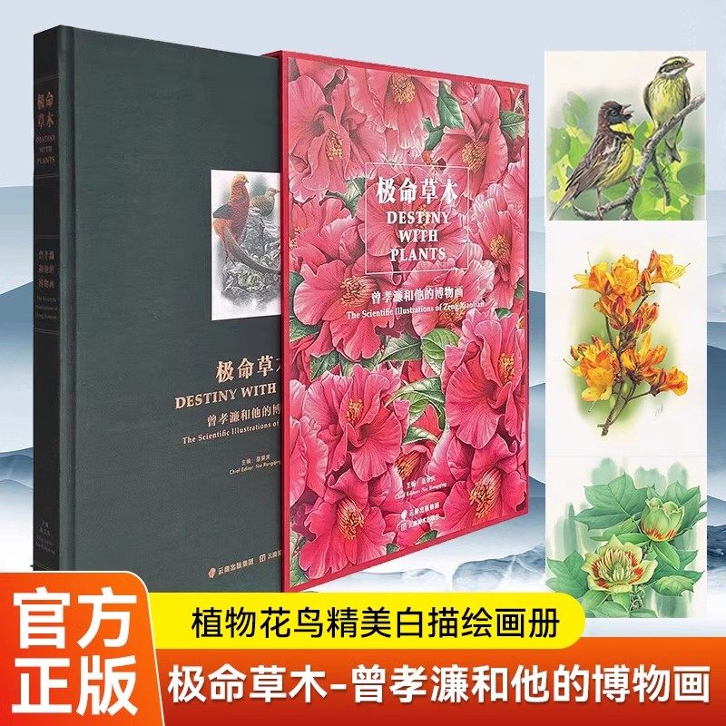 【赠书签】极命草木植物学花鸟绘画精装画册 曾孝濂画植物画云南花鸟画册中国植物志 云南美术出版社 云南花鸟书 曾孝廉极命草木