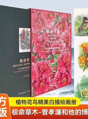 极命草木曾孝濂和他的博物画