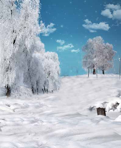 2022数码艺术布摄影背景纸pp纸婚纱影楼挂拍主题背景雪景cm-4703